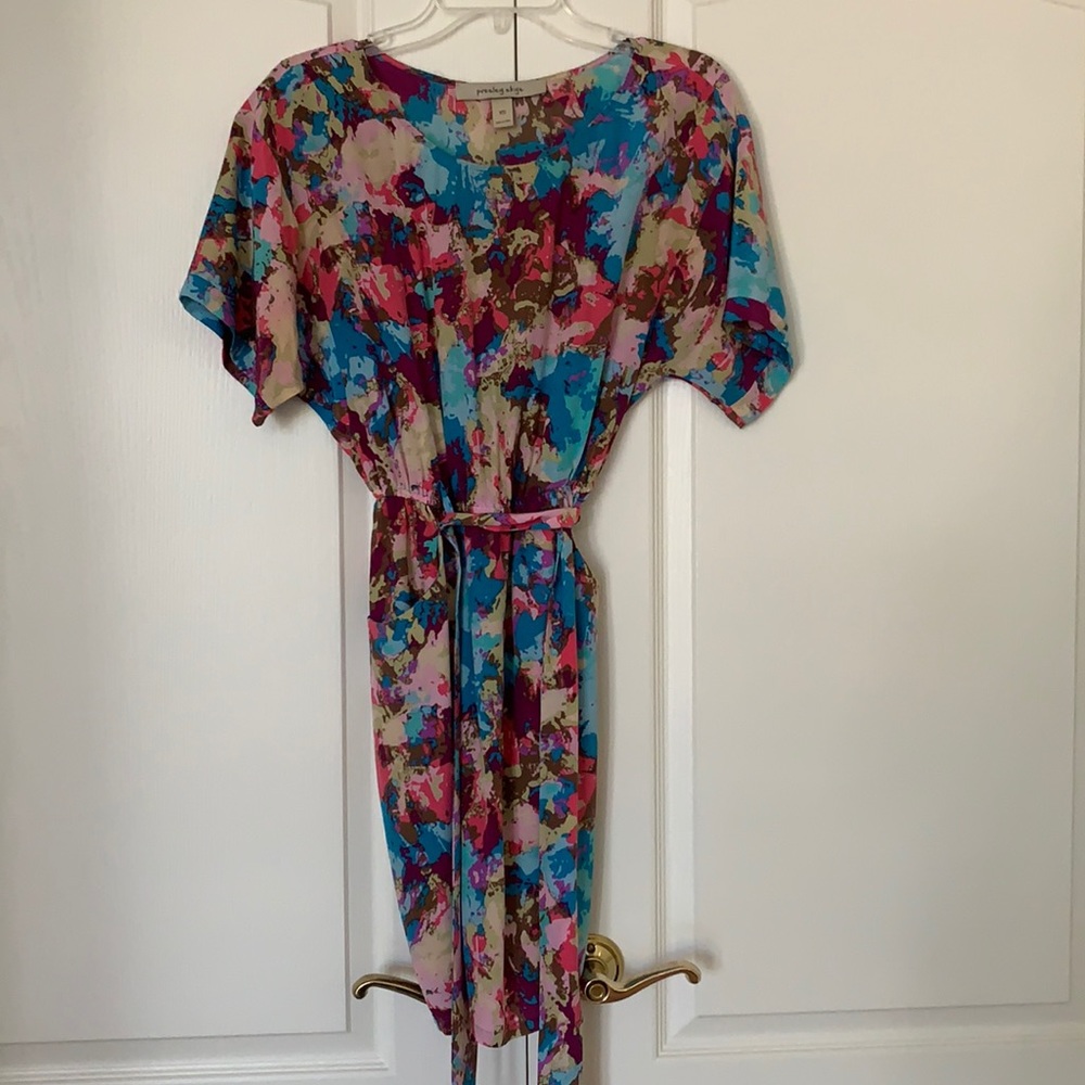 Presley Skye Silk Dress